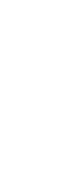 Luna mobile interface